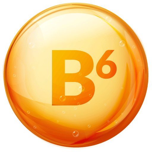 Vitamin B6 icon